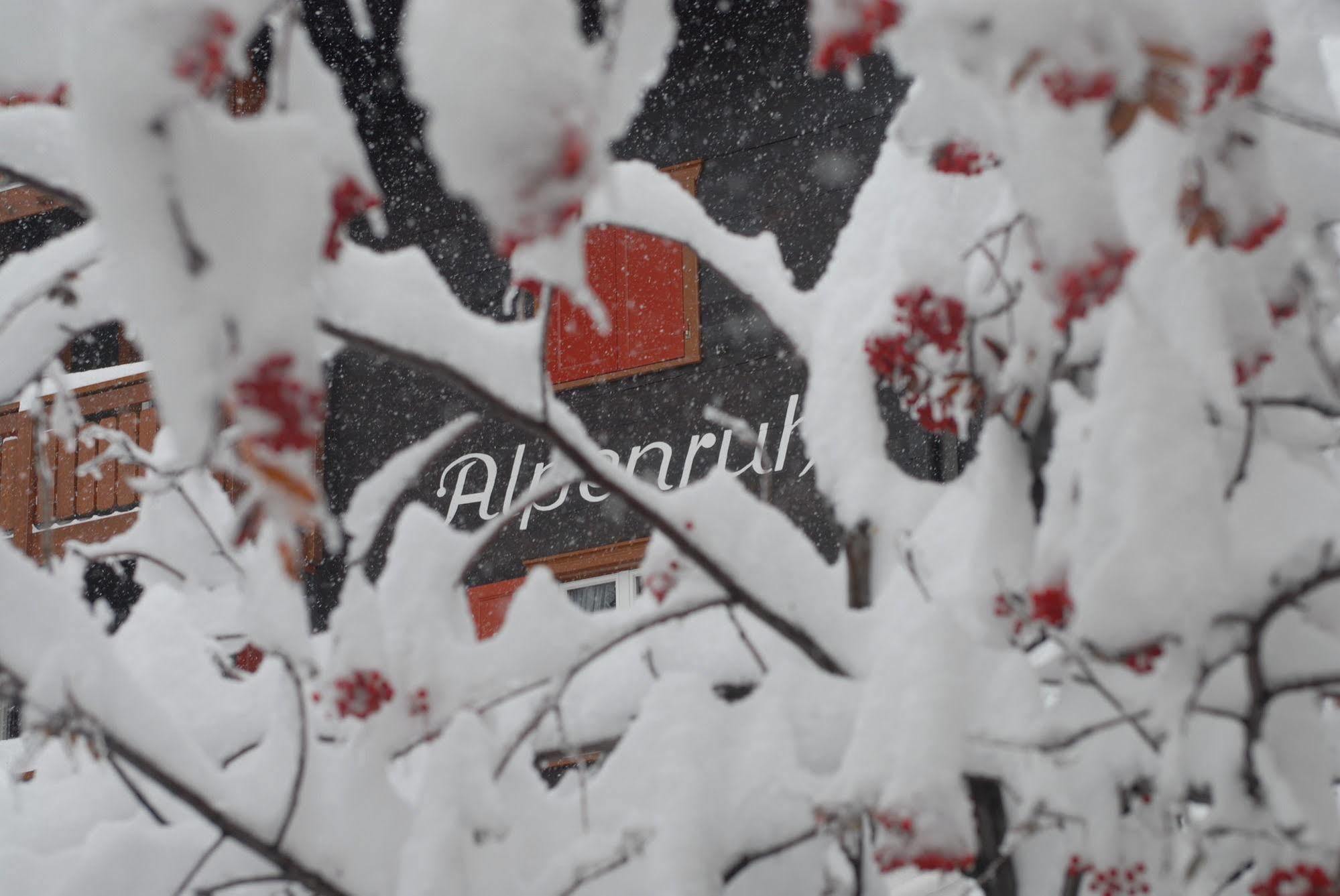 Chalet Alpenruh Saas Fee 외부 사진